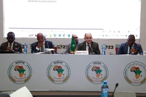 وزير الصناعة يترأس الاجتماع الختامي لمجلس وزراء تجارة منطقة التجارة الحرة الأفريقية