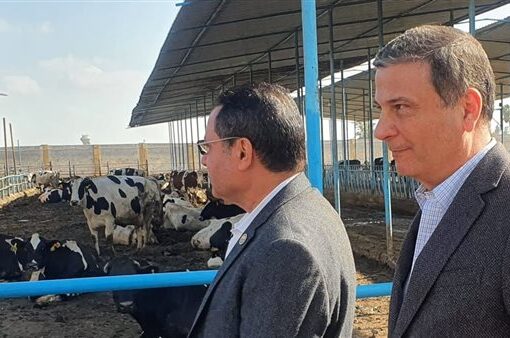 البنك الزراعي المصري: قروض ميسرة لتمويل صغار المربين والمزارعين ضمن مبادرة «إحلم»