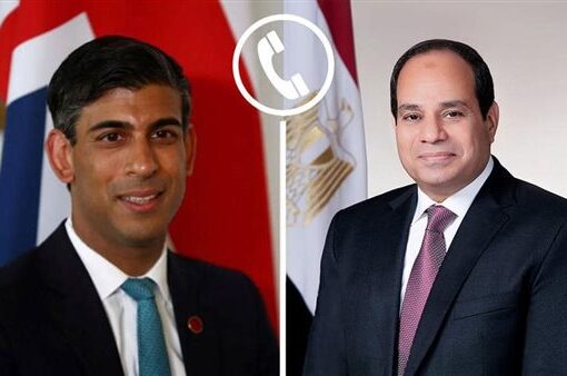 الرئيس السيسي يشدد على مسئولية المجتمع الدولي لضمان نفاذ المساعدات الإغاثية لغزة