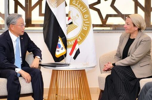 ياسمين فؤاد تبحث تعزيز التعاون بين مصر وكوريا الجنوبية بمجال البيئة والمناخ