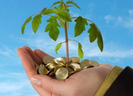 اتحاد التأمين ينظم النسخة 3 من مؤتمر «متناهي الصغر» بالأقصر 3 فبراير