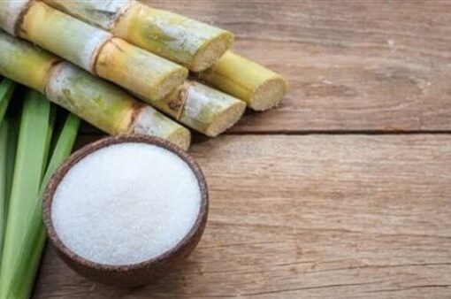 محافظ قنا يعلن سعر توريد محصول قصب السكر لعام 2024