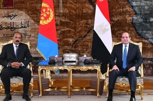 الرئيس السيسي يبحث مع نظيره الإريتري دعم التعاون المشترك بمختلف المجالات