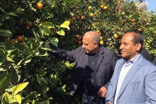 وزير قطاع الأعمال: مشروعات جديدة للتصنيع الزراعي والإنتاج الحيواني والداجني