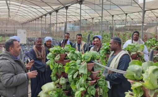 المركزى للمناخ الزراعي ومشروع “سيل” ينظمان دورة تدريبية حول التقنيات الزراعية الحديثة ووسائل التكيف مع التغيرات المناخية