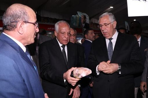 افتتاح معرض خير مزارعنا لأهالينا للسلع والمنتجات الغذائية بالجيزة