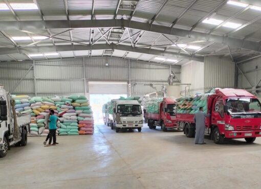 البنك الزراعي المصري يبدأ استلام محصول القمح من المزارعين والموردين في 190 موقع على مستوى الجمهورية