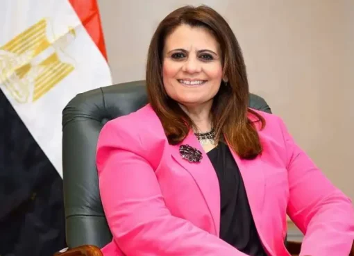 مصر تجمع 790 مليون دولار من مبادرة استيراد السيارات من الخارج