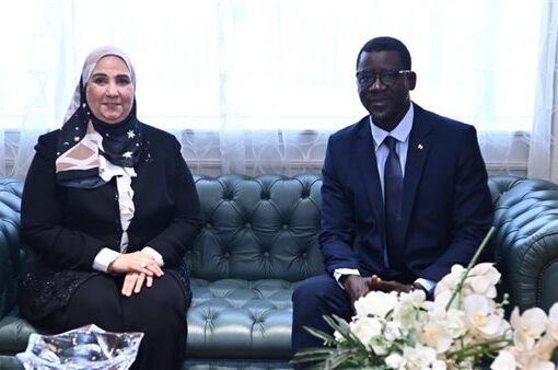 «القباج» تبحث مع وزير التمويلات الصغرى بالسنغال تعزيز التعاون بجالات الاقتصاد التضامني