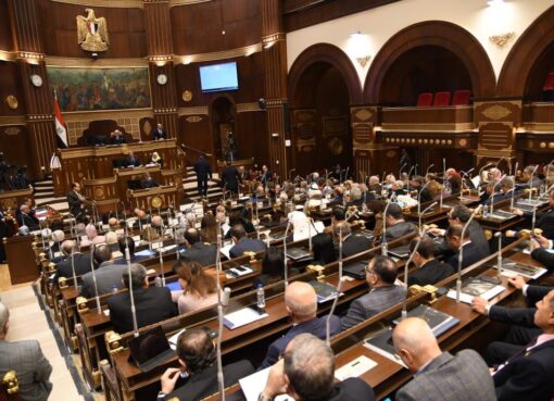 مجلس الشيوخ يبدأ مناقشة خطة التنمية الاجتماعية والاقتصادية 2024-2025