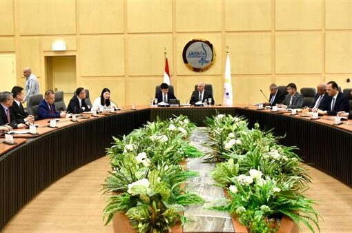 وزير النقل يبحث مع الشركات الصينية إنشاء مصنع للوحدات المتحركة في مصر