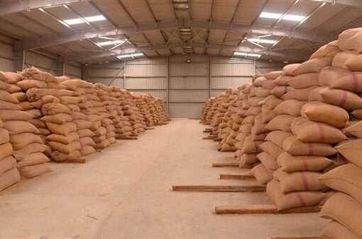 توريد 94 ألف طن قمح للشون والصوامع بأسيوط