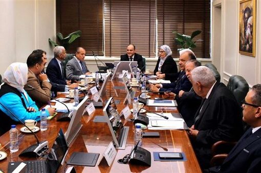 وزير التجارة والصناعة يبحث الآليات التنفيذية لتطوير منطقة شق الثعبان