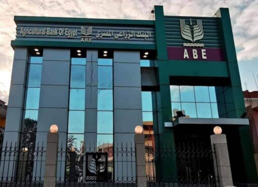 البنك الزراعي المصرى يواصل استلام القمح من المزارعين في 190 موقعا