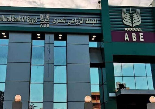 علاء فاروق: 150 مليون جنيه قيمة تدريب الكوادر البشرية خلال 4 سنوات
