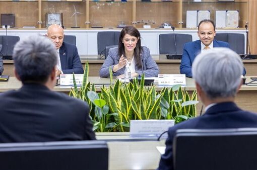 «المشاط» تبحث تعزيز التعاون مع بنك التصدير والاستيراد الكوري