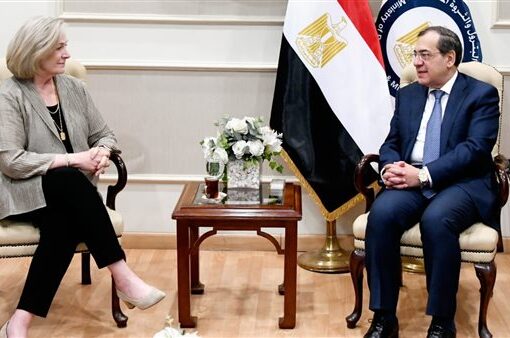 «هاربور إنرجى» البريطانية تستحوذ على مناطق امتياز «چفنترشال ديا» الألمانية فى مصر