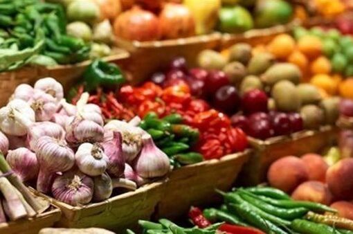 ارتفاع صادرات السلع الغذائية 32% في الربع الأول من 2024