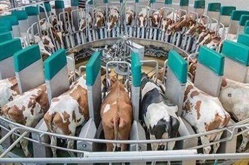 «الزراعة» تصدر 1052 ترخيصًا جديدًا خلال يوليو الماضي