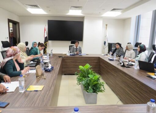 خلال الاجتماع التنسيقي للجهات المعنية بتنفيذ الاستراتيجية الوطنية للسكان: