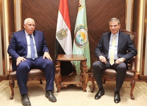 وزير الزراعة يتابع مع محافظ الوادي الجديد ملفات التعاون الزراعي المشترك بين الوزارة والمحافظة