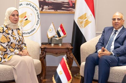 الدكتور سويلم يلتقى سفيرة مملكة البحرين في مصر لمناقشة سُبل تعزيز التعاون بين مصر والبحرين في مجال الموارد المائية