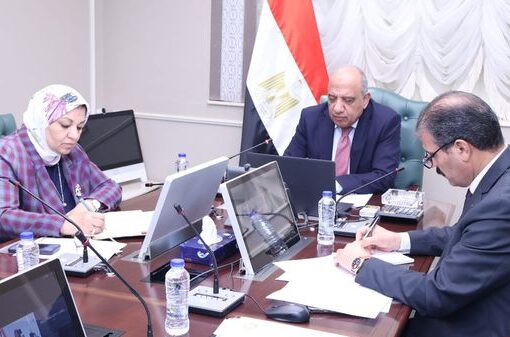 وزير الكهرباء والطاقة المتجددة يبحث مع وفد الاتحاد الأوروبي تعزيز التعاون المشترك في مجالات الربط الكهربائي والطاقات المتجددة واستراتيجية الطاقة