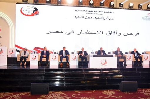 وزير الخارجية: رقمنة الخدمات القنصلية للتيسير على المصريين بالخارج