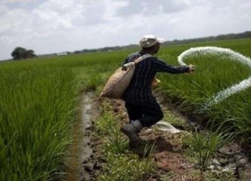 وزير الزراعة: نعمل على حل أزمة الأسمدة.. وغطّينا ما يزيد عن 70% من الاحتياجات