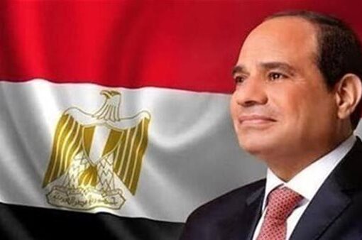 الرئيس السيسي يؤكد أهمية التعاون المشترك والتنسيق المكثف بين مصر والسعودية