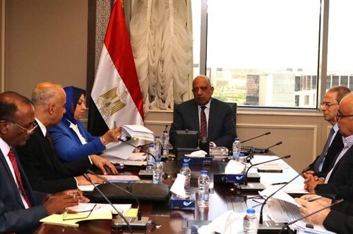 وزير الكهرباء: خطة لتشغيل المحطة الشمسية الحرارية بالكريمات وتحقيق الاستفادة القصوى منها