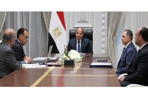 الرئيس السيسي يوجه بتكثيف العمل بالمشروعات الجاري تنفيذها في مجال الطاقة المتجددة