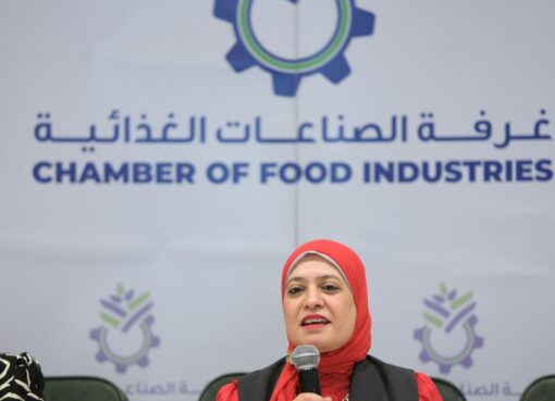 محافظ الغربية :تشديد الرقابة على المخابز البلدية بالمحلة وحملات مستمرة