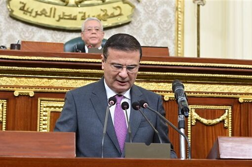 وزير الزراعة يستعرض إجراءات تعزيز الأمن الغذائي وتحقيق التنمية المستدامة أمام «النواب»