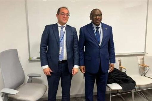 وزير المالية: مبادلة الديون بالاستثمارات يعزز المسار التنموي بالدول الإفريقية