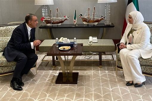 وزير الخارجية يؤكد الحرص على دعم التجارة البينية والاستثمارات الكويتية في مصر