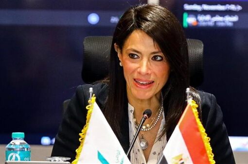 «المشاط»: استمرار جهود تطوير بنك الاستثمار القومي لتعظيم دوره التنموي والاستثماري