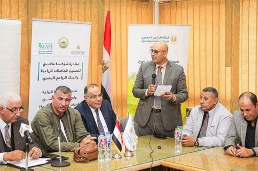 البنك الزراعي المصري وشركة مافي يعززان الزراعة التعاقدية في النوبارية ووادي النطرون