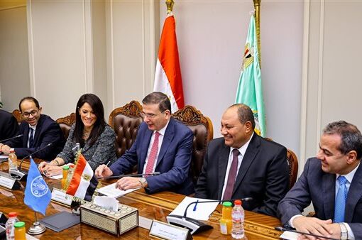 «الزراعة» تتعاون مع «الفاو» لتنمية الثروة الحيوانية في مصر