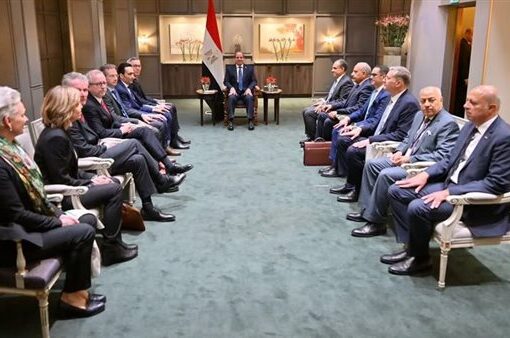 الرئيس السيسي يبحث فرص التعاون مع صندوق الاستثمار النرويجي في الدول النامية