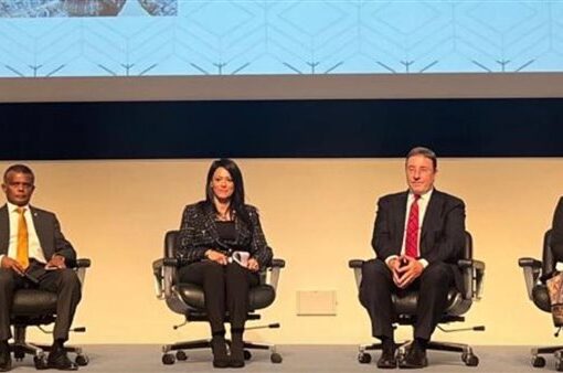«المشاط»: الشراكات المصرية اليابانية تعكس أهمية العمل المشترك في مواجهة تحديات التنمية