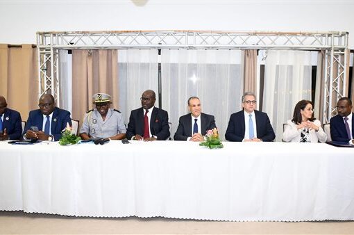 وزير الخارجية: 14 مليار جنيه حجم الاستثمارات المصرية في القارة الأفريقية