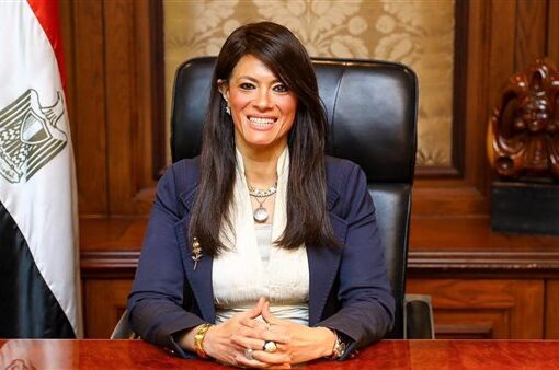 مؤسسات التمويل الدولية تستثمر 890 مليون دولار بشركات القطاع الخاص المصرية خلال نوفمبر