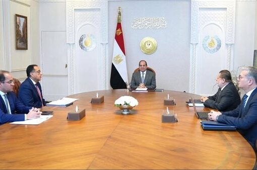 الرئيس السيسي يؤكد على أهمية تطوير الآبار الجديدة وزيادة إنتاج البترول والغاز
