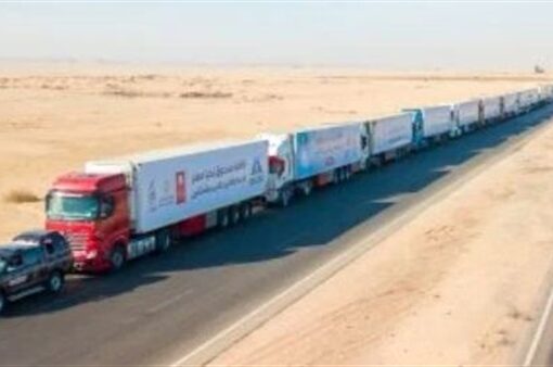 قوافل الحماية الاجتماعية من صندوق تحيا مصر تصل إلى 10 آلاف أسرة بحلايب وشلاتين