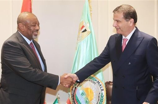 مصر ونيجيريا تبحثان سبل تعزيز التعاون بمختلف المجالات الزراعية