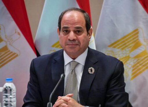 الرئيس السيسي يبحث مع المستشار النمساوي مستجدات الأوضاع في غزة وسوريا ولبنان