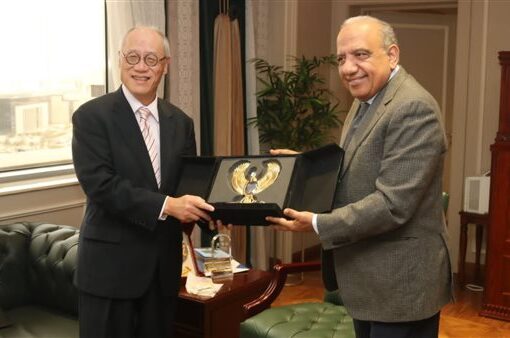 وزير الكهرباء يبحث تعزيز فرص الشراكة بين مصر واليابان بمجال الطاقة المتجددة