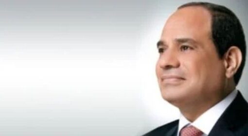 الرئيس السيسي يؤكد إستعداد مصر للمشاركة في جهود التنمية بغينيا الاستوائية