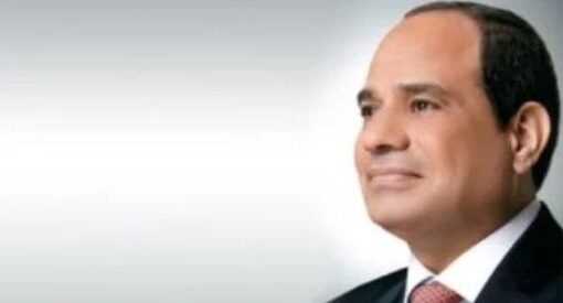 رئاسة الجمهورية تنشر فيديو عن جهود مصر لوقف إطلاق النار في غزة